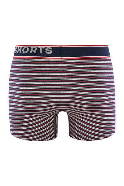 Phil & Co. Berlin Retro Pants All Styles Retro-boxer Retro-shorts Unterhose