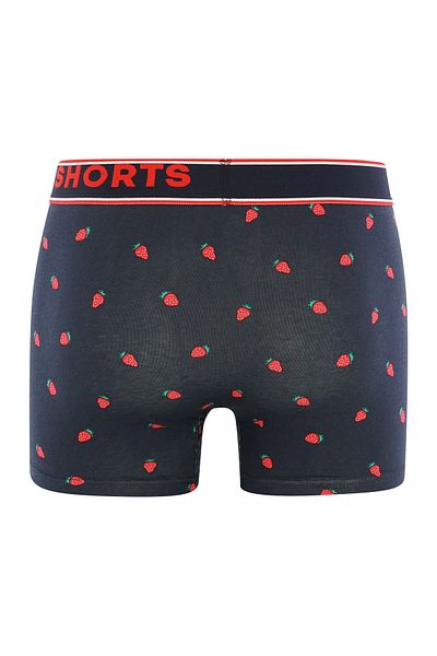 Phil & Co. Berlin Retro Pants All Styles Retro-boxer Retro-shorts Unterhose
