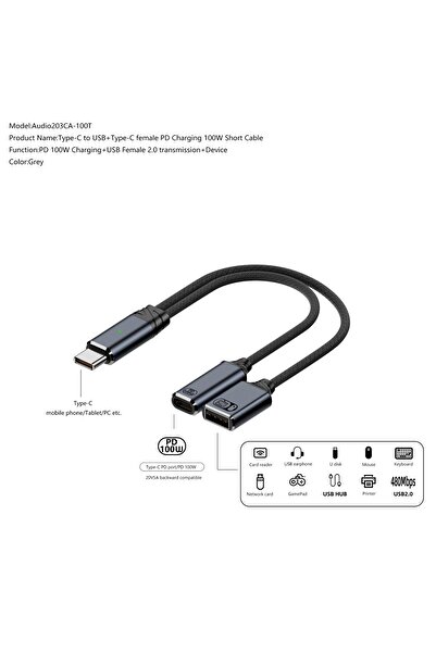 LivX 100W 2 in 1 Type C to USB 2.0 & Type C Hızlı Şarj Çevirici Dönüştürücü OTGCA