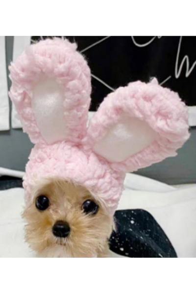 RAIKOU EVCİL HAYVAN KOSTÜMLERİ