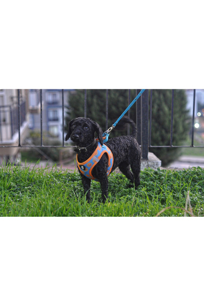 Falpaw Köpek Göğüs Tasma Seti Ayarlanabilir Gezdirme Kayışı Eller Serbest Portakal Desenli