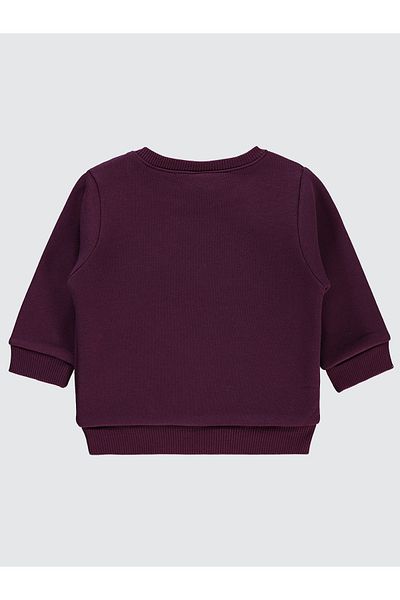 Civil Baby Baby-Mädchen-Sweatshirt, 6–18 Monate, Orchideen-Lila