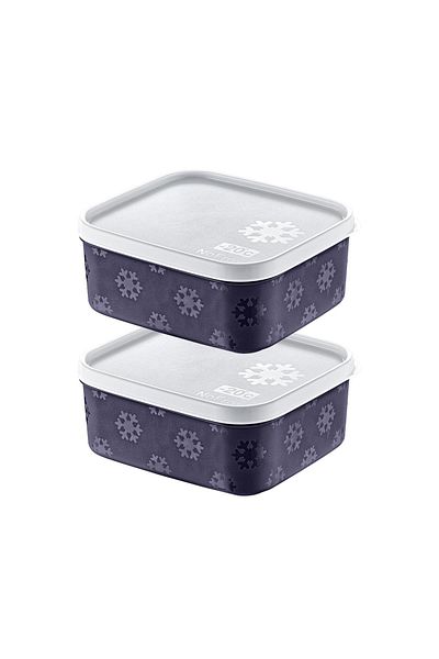 Smartware Navy Blue 700 ml Set of 2 - No Frost Storage Container