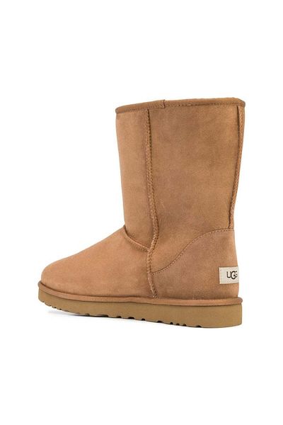 UGG Cizme maro Pantofi barbati