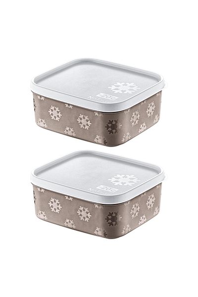 Smartware Terra 700 ml - Set of 2 No Frost Storage Container