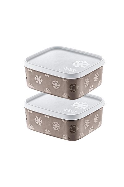 Smartware Terra 700 ml - Set of 2 No Frost Storage Container