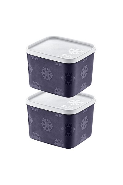 Smartware Navy Blue 1250 ml - Set of 2 No Frost Storage Containers