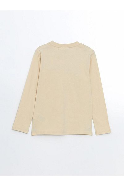 LC Waikiki LCW Kids Crew Neck Boston εμπριμέ μπλουζάκι για αγόρι