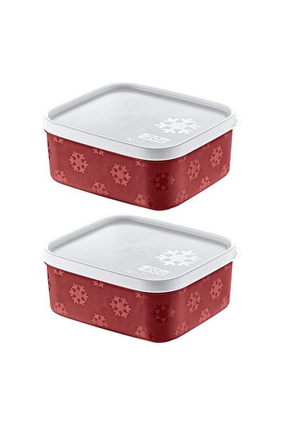 Smartware Carmen 700 ml - Set of 2 No Frost Storage Containers