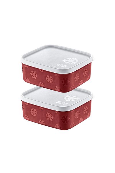 Smartware Carmen 700 ml - Set of 2 No Frost Storage Containers