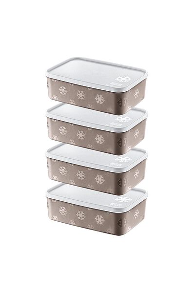 Smartware Terra 1600 ml - Set of 4 No Frost Storage Container
