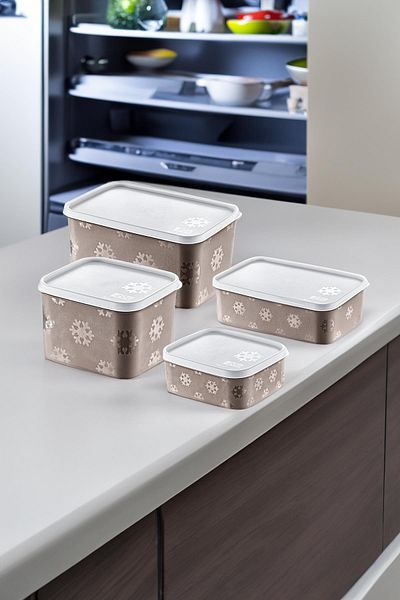 Smartware Set of 4 - No Frost Terra Storage Container (All Sizes)