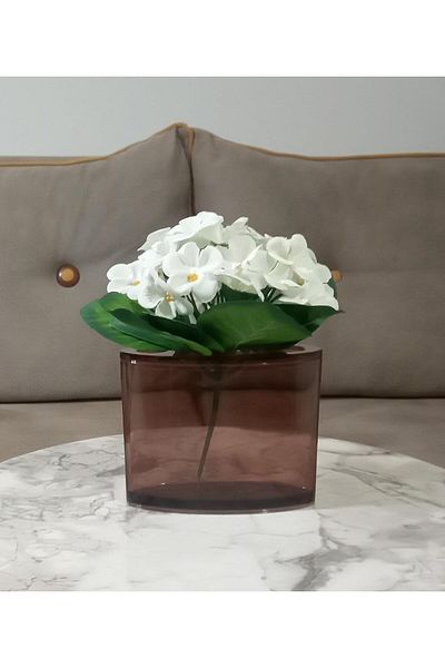STOREMAX ΠΕΡΙΛΑΜΒΑΝΕΤΑΙ ΤΕΧΝΗ, ΠΕΡΙΛΑΜΒΑΝΕΤΑΙ ΒΑΣΟ, ΛΟΥΛΟΥΔΙ ΣΕ ΒΑΣΟ, ΛΕΥΚΟ ΤΕΧΝΗΤΟ ΛΟΥΛΟΥΔΙ, ΔΕΚΟΡΑΤΙΚΟ ΒΑΣΟ ΟΒΑΛ ΚΑΦΕ 13Χ5Χ1