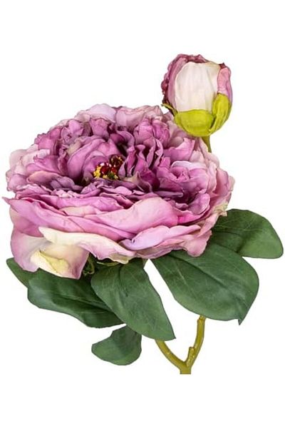 STOREMAX MU-ARTSHOP Λιλά με μπουμπούκια τριαντάφυλλου 50 εκ. tnca 871301