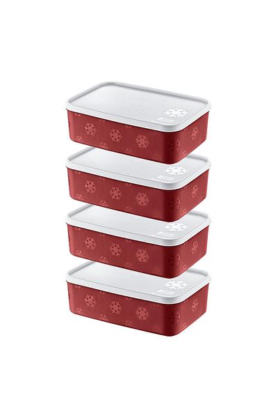 Smartware Carmen 1600 ml - Set of 4 No Frost Storage Container