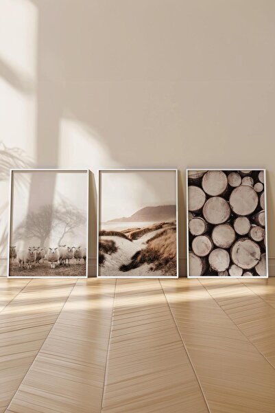 Postifull Beyaz Çerçeveli Tablo Seti, Kahverengi Fotoğraflar Duvar Tablosu, 3 Adet Poster Seti, No:300758