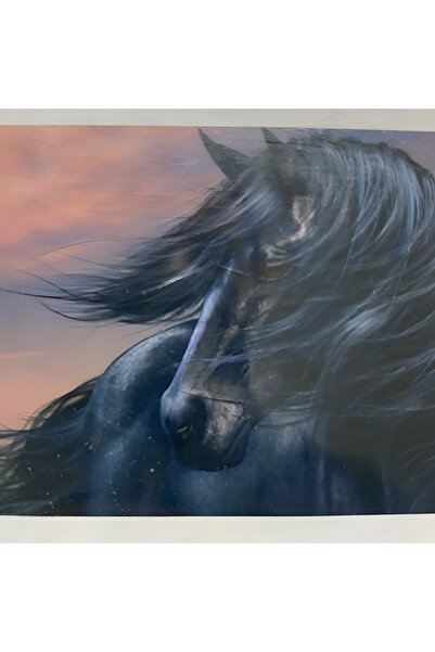 EleganTShoP 5D Yapışan Boncuk Goblen 30 x 40 cm Mozaik Tablo Pano 60232