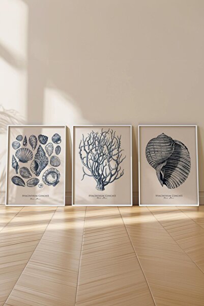 Postifull Beyaz Çerçeveli Tablo Seti, Okyanus İllustrasyon Duvar Tablosu, 3 Adet Poster Seti, No:300734