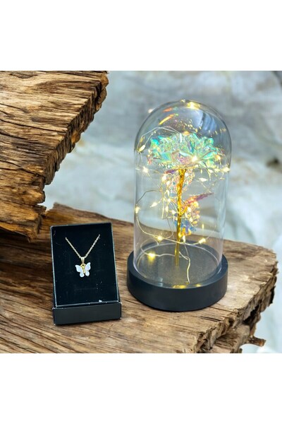 Masalsı Concept Decorative Led Lighted Everlasting Eternity Rose in a Fan and Butterfly Necklace for Valentine's Gift