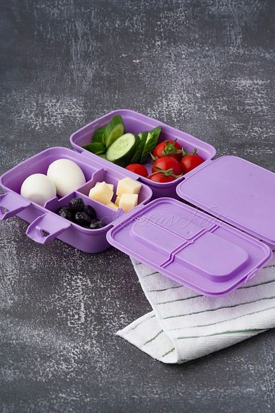 Cosiness My Little Pony Licensed Two Layers Lunch Box