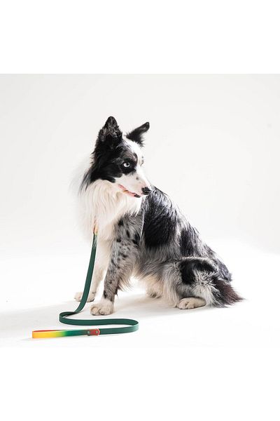 Hünkar Biothane Multicolor Dog Collar
