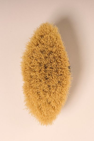 Vose 100% Natural Vegan Cellulite Brush (Cactus Hair)