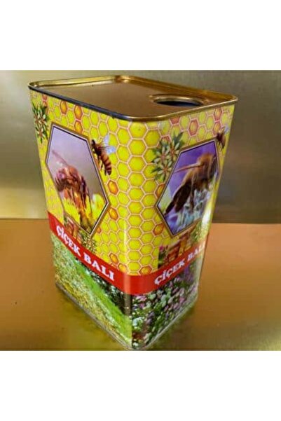 Süzme Bal Tenekesi (DESENLİ) - 5 Kg