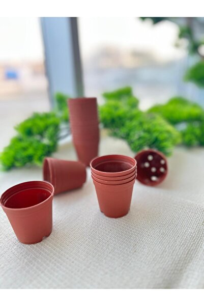 Ekodoğa Üretim Saksı 50 Adet 5,5x5 Cm Kaktüs Sukulent Üretim Saksısı Renkli P...