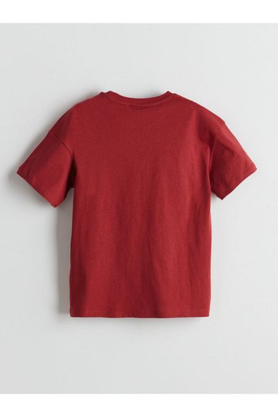 LC Waikiki Crew Neck Boy's T-Shirt
