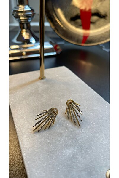 BEEMINE Fan Stone Steel Earrings