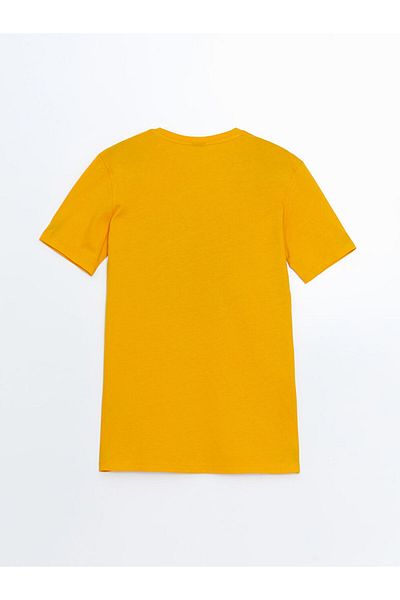 LC Waikiki New Season Crew Neck Boy's T-Shirt - S5H841Z4