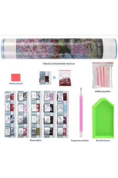 OZN AKSESUAR Hı Stone 5d Elmas Boncuk Taş Işleme Mozaik Goblen Kit 50x40cm GC89231