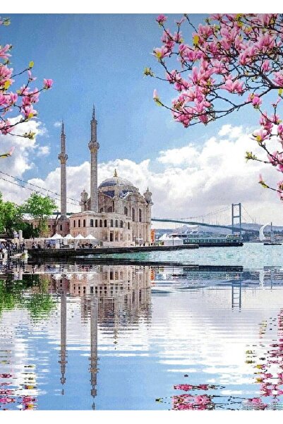 OZN AKSESUAR Hı Stone 5d Elmas Boncuk Taş Işleme Mozaik Goblen Kit 50x40cm Gc...