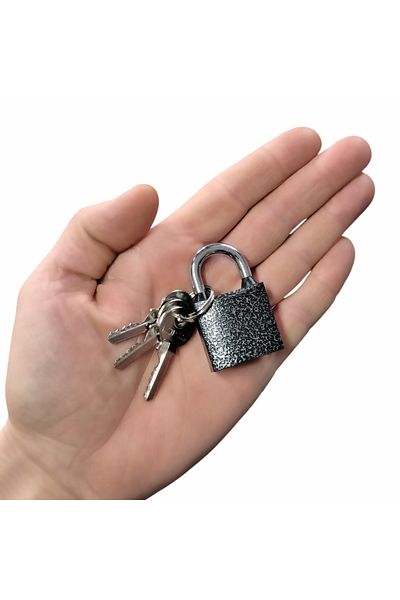 ALETÇANTAM 32 mm Padlock Extra Safe Double Palate Locking Feature with Rain Seal Cabinet Door Dashboard Lock