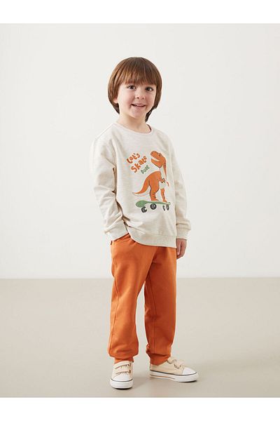 LC Waikiki Crew Neck Printed Boys Sweatshirt and Sweatpants Bottom Set of 2