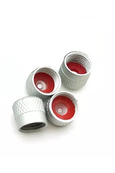 OEM Gri Çelik Sibop kapak Takımı