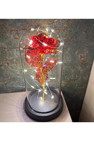 HEDİYEBİZİZ Premium Kristal Solmayan Gül Işıklı Cam Fanus - Kırmızı