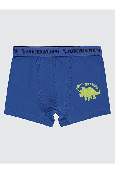 Civil Boys Erkek Çocuk 3'lü Boxer Set 2-10 Yaş Yeşil