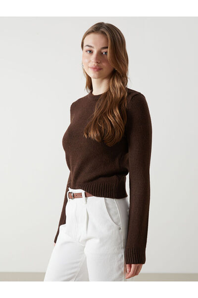 LC Waikiki Brown Crew Neck Women's Knitwear Sweater