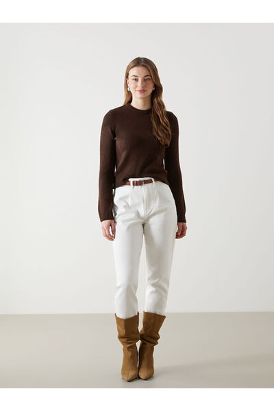 LC Waikiki Brown Crew Neck Women's Knitwear Sweater