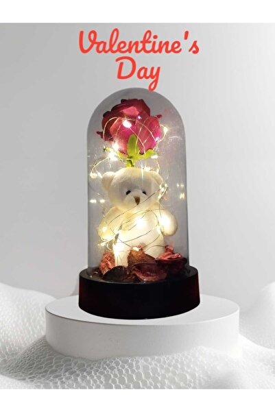 DiZe'S Tasarım Fanus İçinde Dekoratif Rgb Peri Led Işıklı Kırmızı Gül-Ayıcık ...