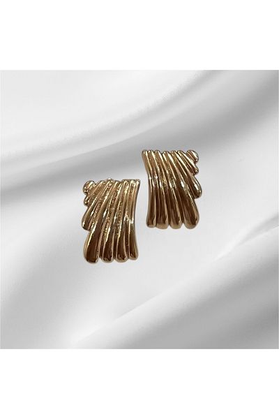 Store Steel earrings