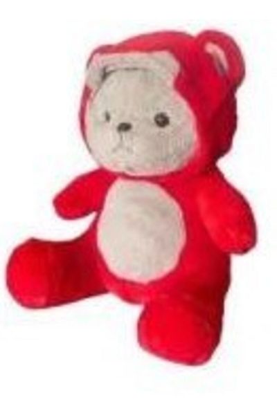 ASPARTAM Cute Bear with Hood