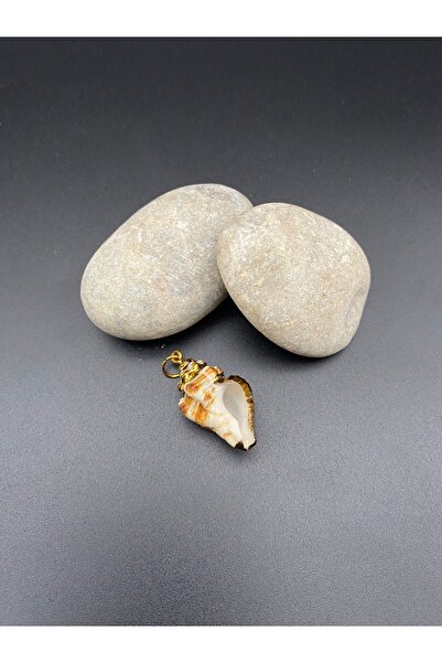 TAKİBUTİGİNİZ Altın Kaplama deniz Kabuğu Kolye Aparatı