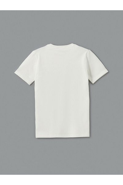 LC Waikiki Lcw Vision Ecru Crew Neck Boys T-Shirt