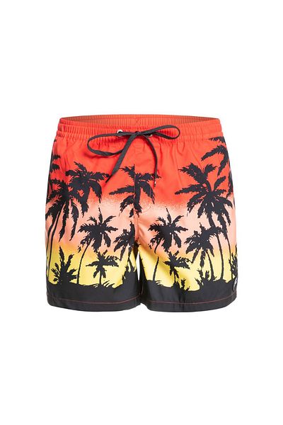 Quiksilver EVERYDAY PARADISE VOLLEY Πολύχρωμο Ανδρικό Σορτς - Μαγιό