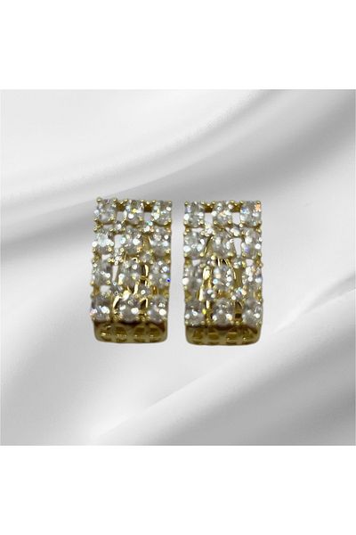 Store Steel earrings with Zirconia