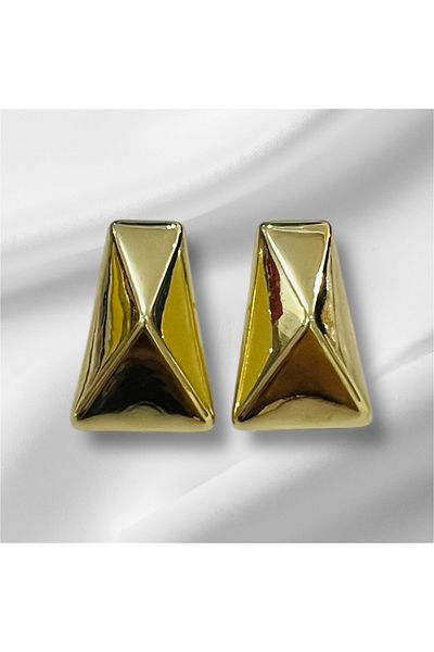 Store Steel women's earrings