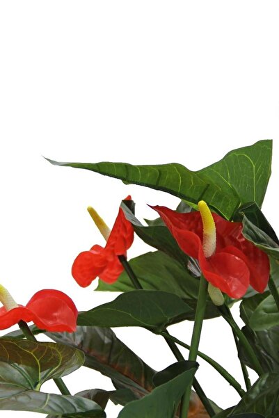 Dekorsende Yapay Antoryum Ağacı 100 Cm