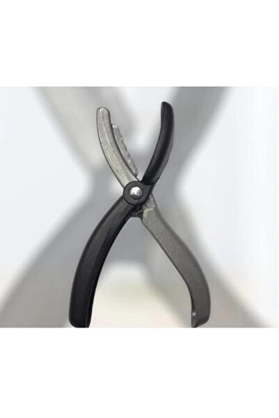 EgedenHerYere راسمة صب الكستناء